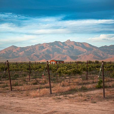 Вилла Casa Barbera At Tirrito Farm Уиллкокс Экстерьер фото